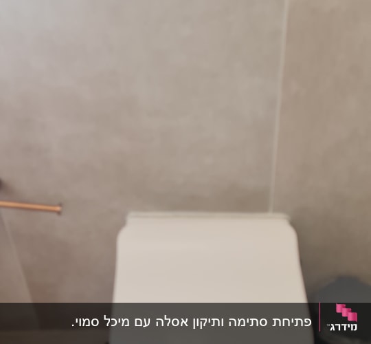 אסלה ולחצן הדחה בחדר אמבטיה
